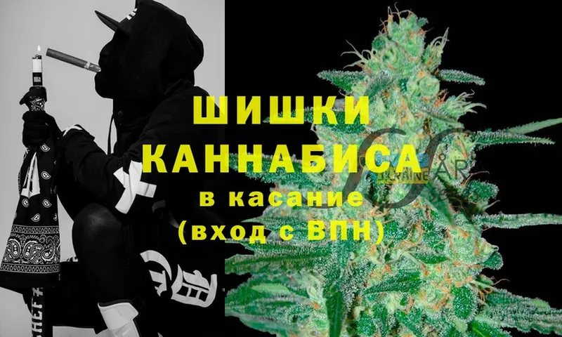 Бошки Шишки THC 21%  магазин продажи наркотиков  Североуральск 